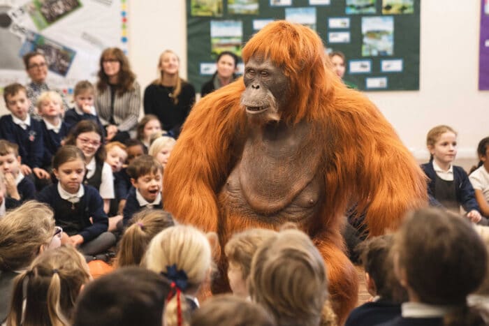Fito the orangutan interacting with kids