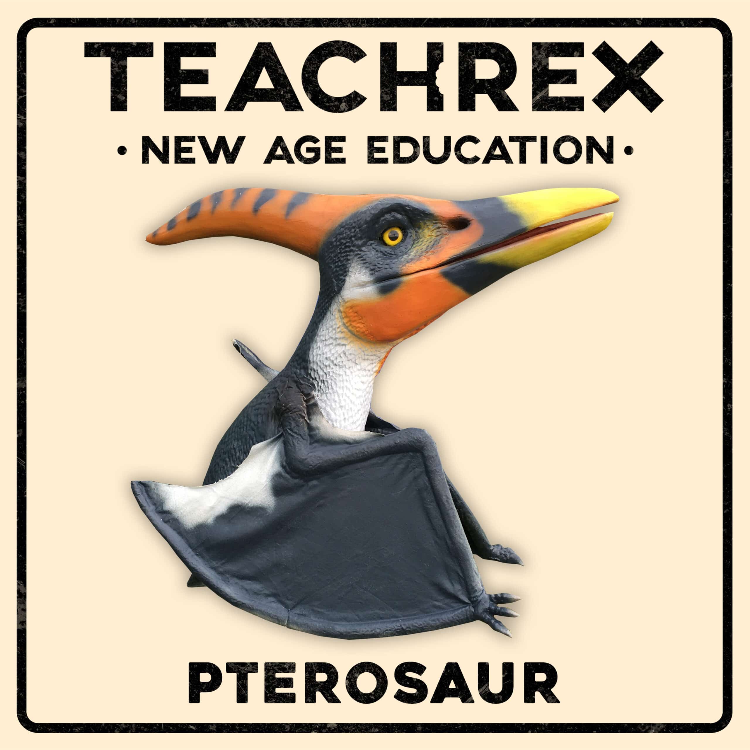 Pterosaur