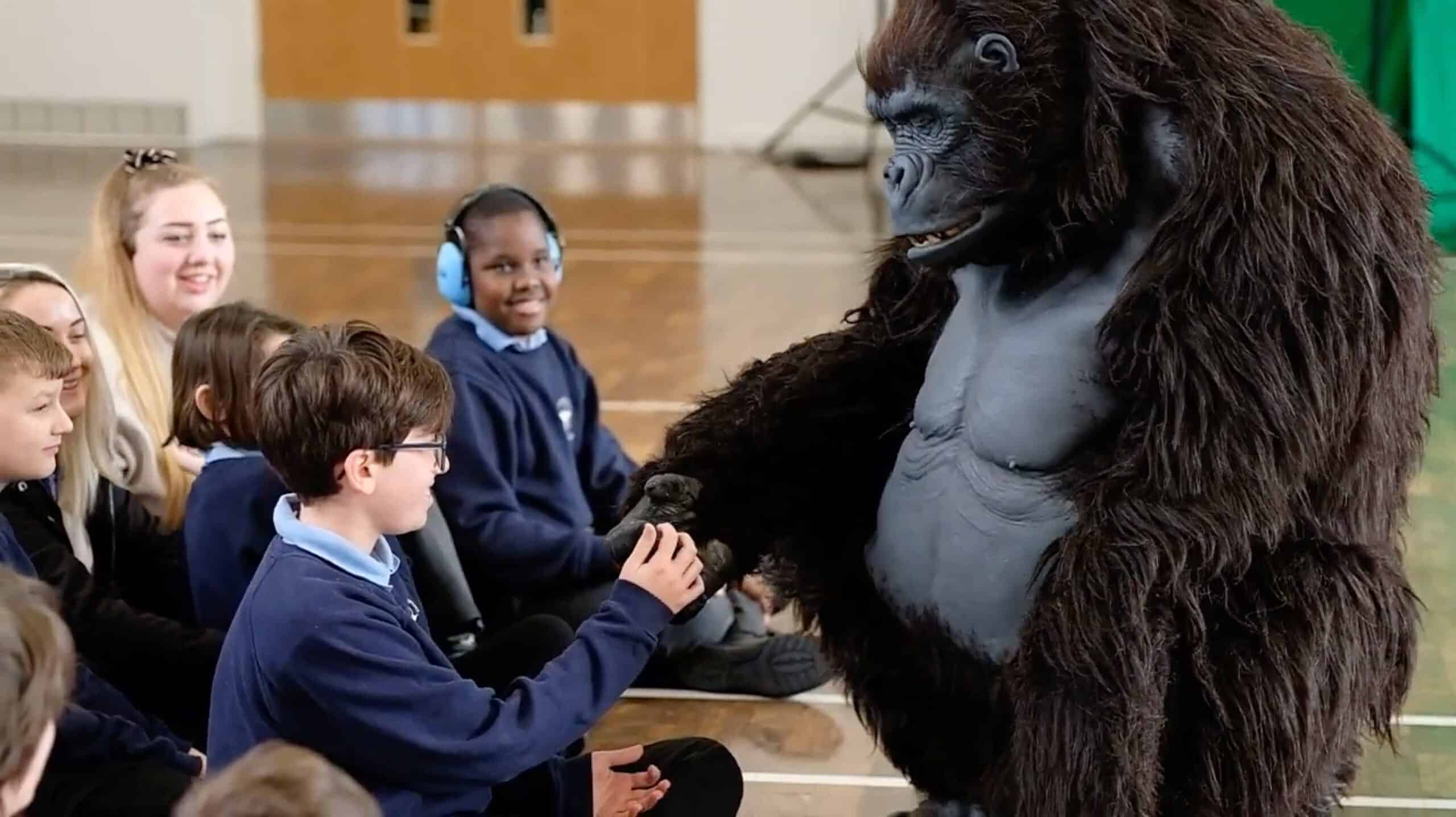 SEND-Gorilla